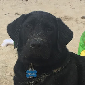 Meet your Posher, Nicholas